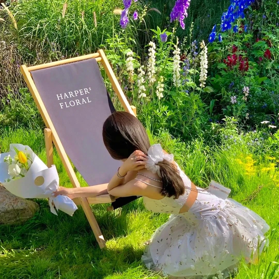 别人辛苦修炼我直接无敌